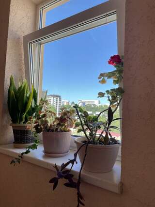 Гостиница Гостевой дом на Мамайке Сочи-7